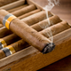 Illustration for article titled Welcome to The Cigar Lounge! What is it?